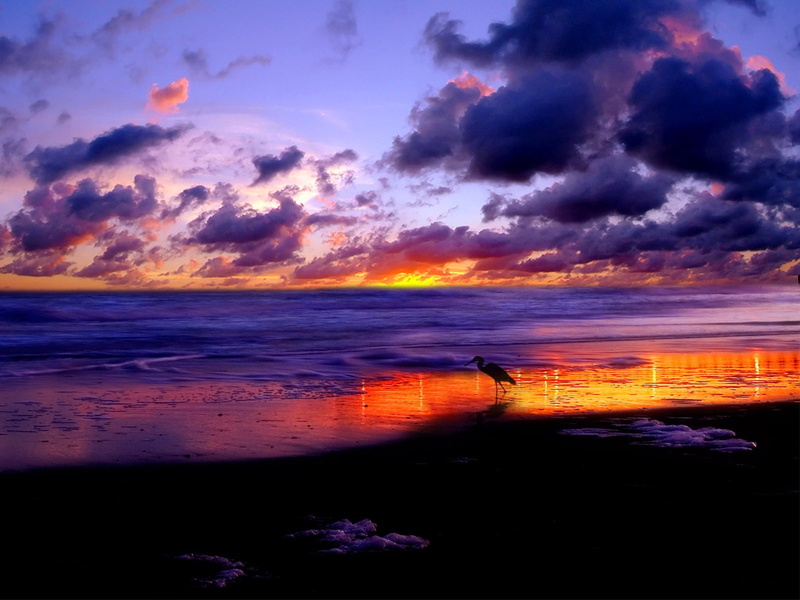sunrise - Dawn, blue, clouds, seashore, summer, evening, 720P, travel Destinations, beauty In Nature, sunlight, horizon Over Water, tranquility, sky, wave