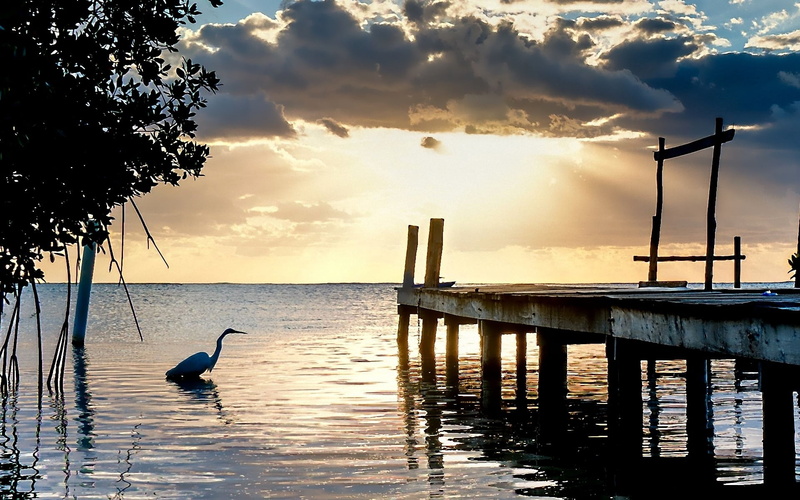 no People, animal, waterfront, lake, sky, sunlight, wooden, sunset, water, reflection, jetty, animals in the wild, 1080P, seagull, river, scenics - nature
