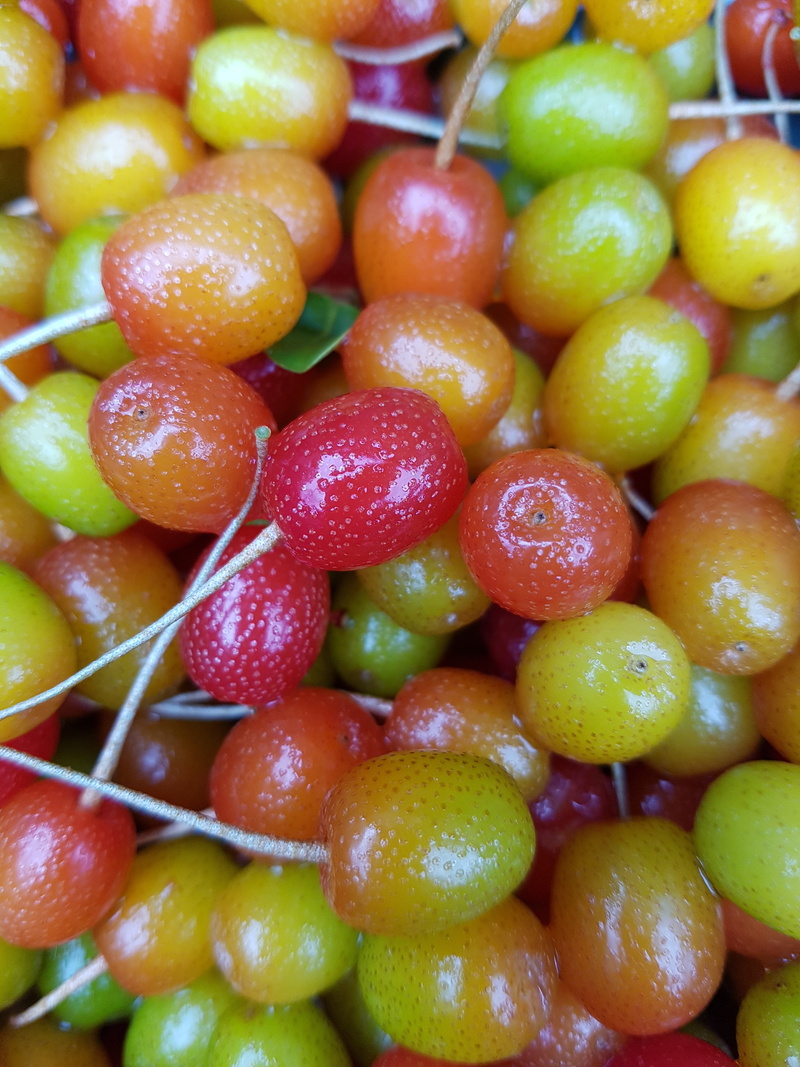 no people, food, food and drink, bodhi fruit, day, healthy Eating, bodhi, still life, 4K, fruit, large group of objects, indoors, freshness, close-up