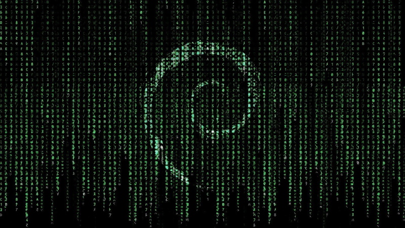 connection, communication, 1080P, computer network, technology, abstract, computer language, green color, black background, internet, computer, cyberspace