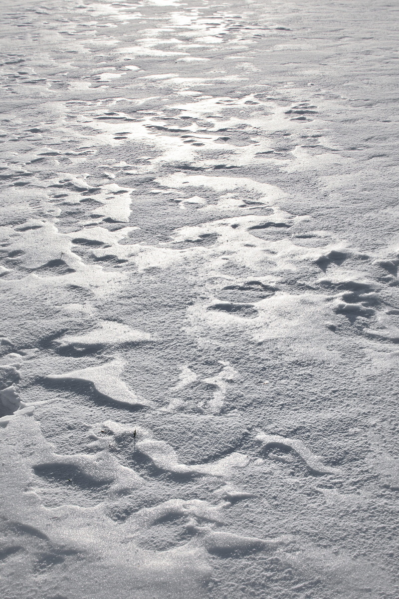 fund, environment, cold, snow, harsch, white, land, water, no people, tranquility, beauty in nature, cold temperature, pattern, winter, scenics - nature