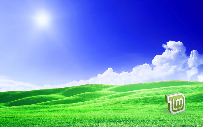 Linux Mint, Linux, computer, 4K