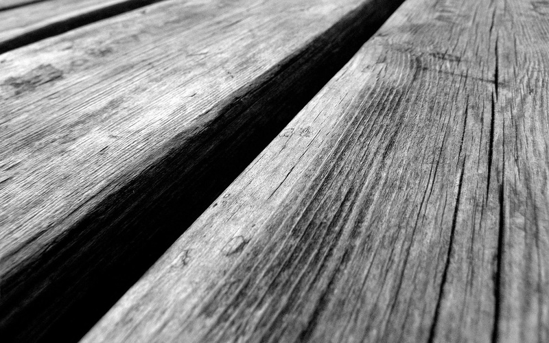 tree, selective focus, rough, mint, outdoors, close-up, hd, surface level, wood grain, nature, textured, woodbridge, full frame, backgrounds