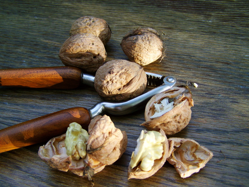 wooden, wellbeing, surface, mushroom, fungus, kernel, hard-shelled fruits, food, food and drink, wood - material, indoors, cracker, freshness, still life