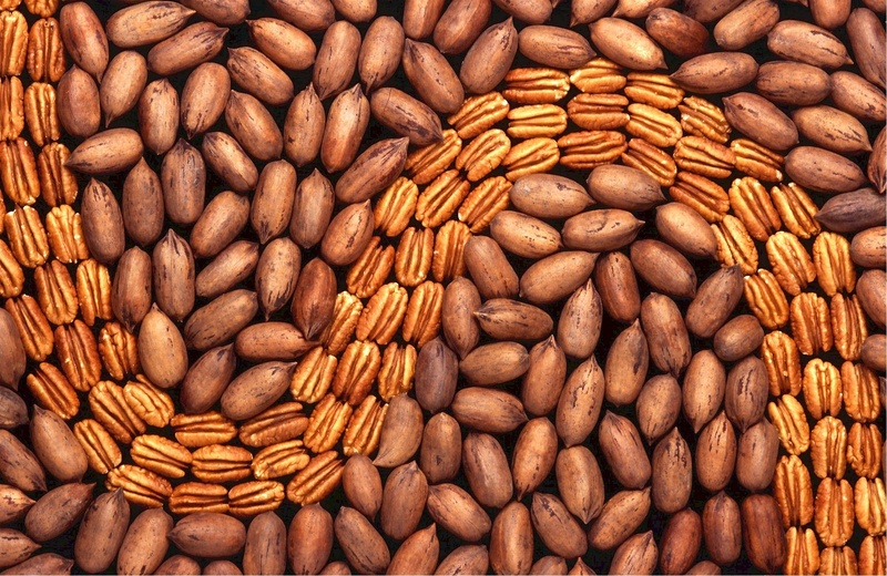 choice, organic, 1080P, abundance, no people, agriculture, nut - food, wellbeing, almond, full frame, brown, cooking, backgrounds, snack, shelled, vegetarian food