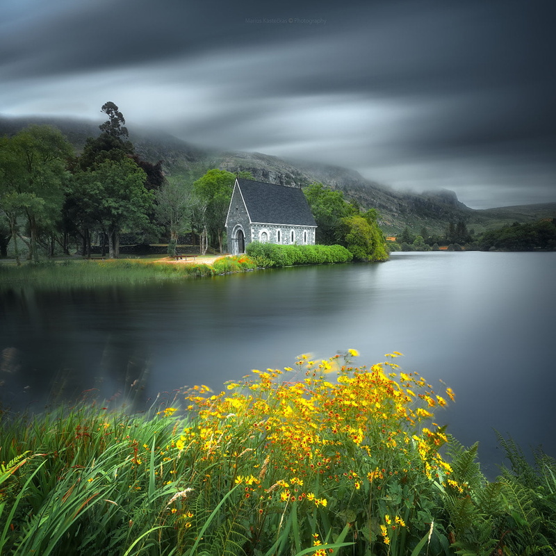 flowers, overcast, water, sky, 720P, landscape, Marius Kasteckas, lake, trees, grass, house