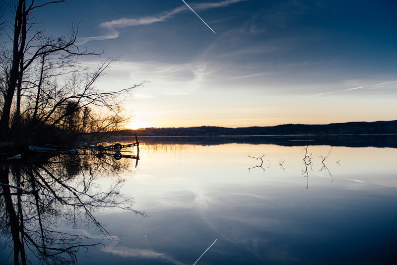 beauty in nature, tranquility, waterfront, land, nature, sky, water, spring, 5K, refection, bird, non-urban scene, reflection, sunset, plant, silhouette