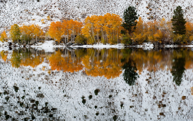 refections, 1080P, California, Fall Snow, Bishop Creek