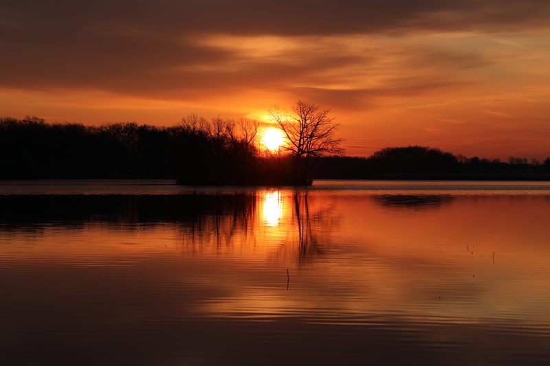 lake, mogadore, united states, waterfront, cloud - sky, water, reflection lake, equinox, idyllic, orange color, photography, ripple, sunlight, sun, sunset