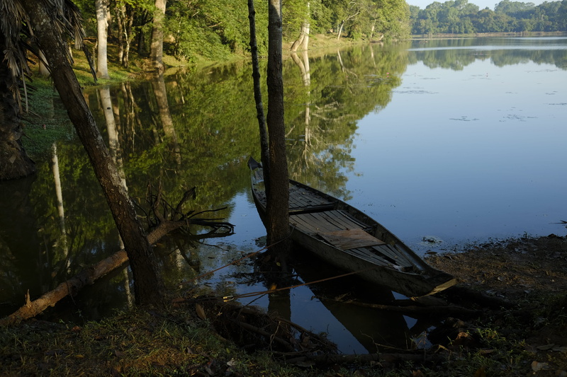 beach, tranquility, forest, land, 5K, mode of transportation, beauty in nature, refection, reflection, blue, gree, day, nature, plant, boat, yellow, outdoors