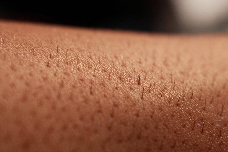 photography, extreme close-up, 5K, studio shot, textured, brown, close, wheat, body part, human skin, textile, Human, Arm, Hair, no people, one person