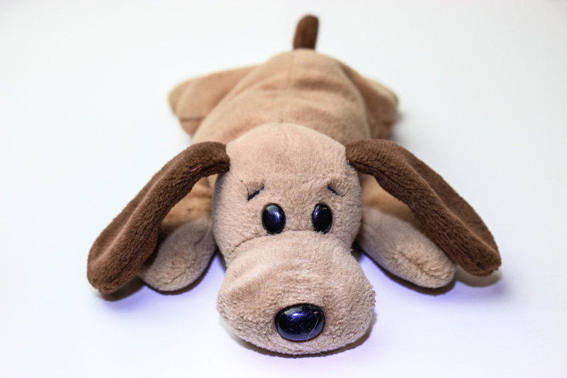 toy, mammal, studio shot, stuffed toy, people, physical injury, man made, white background, sweet, beanie baby, softness, teddy bear, soft toy, cut out
