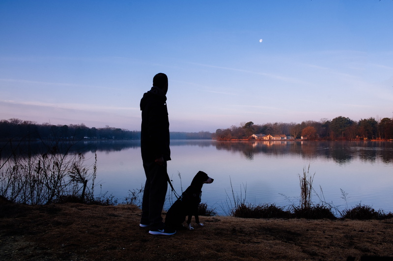 domestic, silhouette, men, one person, family, standing, pets, animal, water, love, real people, facing, people, daytime, body of water, dog, 5K, domestic animals