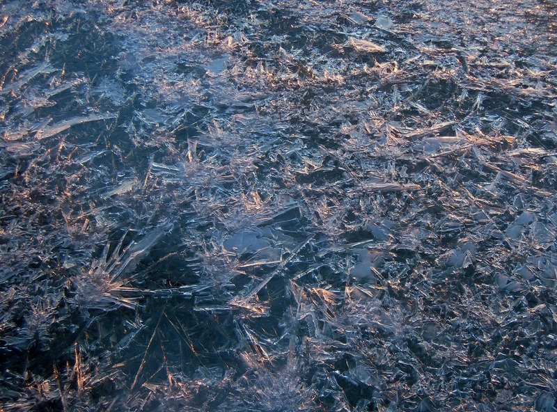 template, closeup, frozen water, directly above, brilliant, templates, textured, 1080P, day, field, cold, plant, land, frosty, rays of the sun, growth