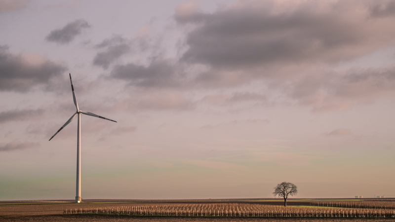 land, nature, environmental conservation, germany, sunset, outdoors, one, turbine, rural scene, field, cloud - sky, vineyards, technology, lone, reactor