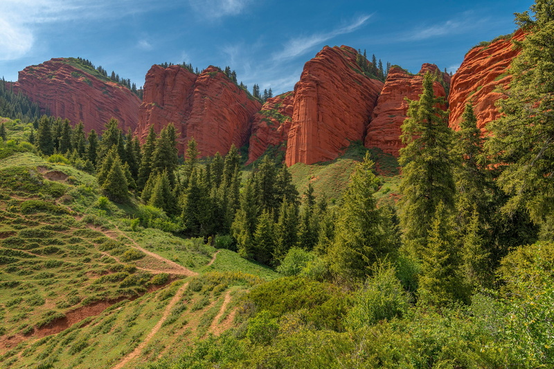 Vladimir Ryabkov, rocks, slope, Kyrgyzstan, 1080P, trees, The Gorge Jety-Oguz