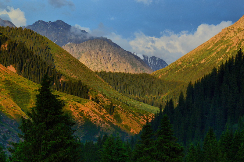 mountains, trees, 1080P, green, Jety-Oguz, tree, leafed, gorge, Kyrgyzstan