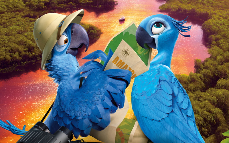 parrots, blue, 2014, 2K, rio