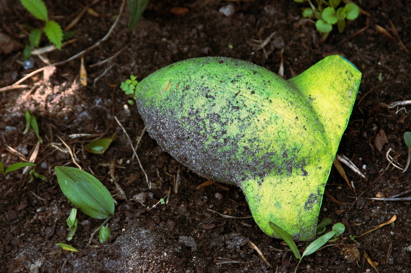 recess, single object, nature, green color, ball, sports, plant, freshness, field, nerf, saint louis park, food and drink, leaf, vegetable, high angle view