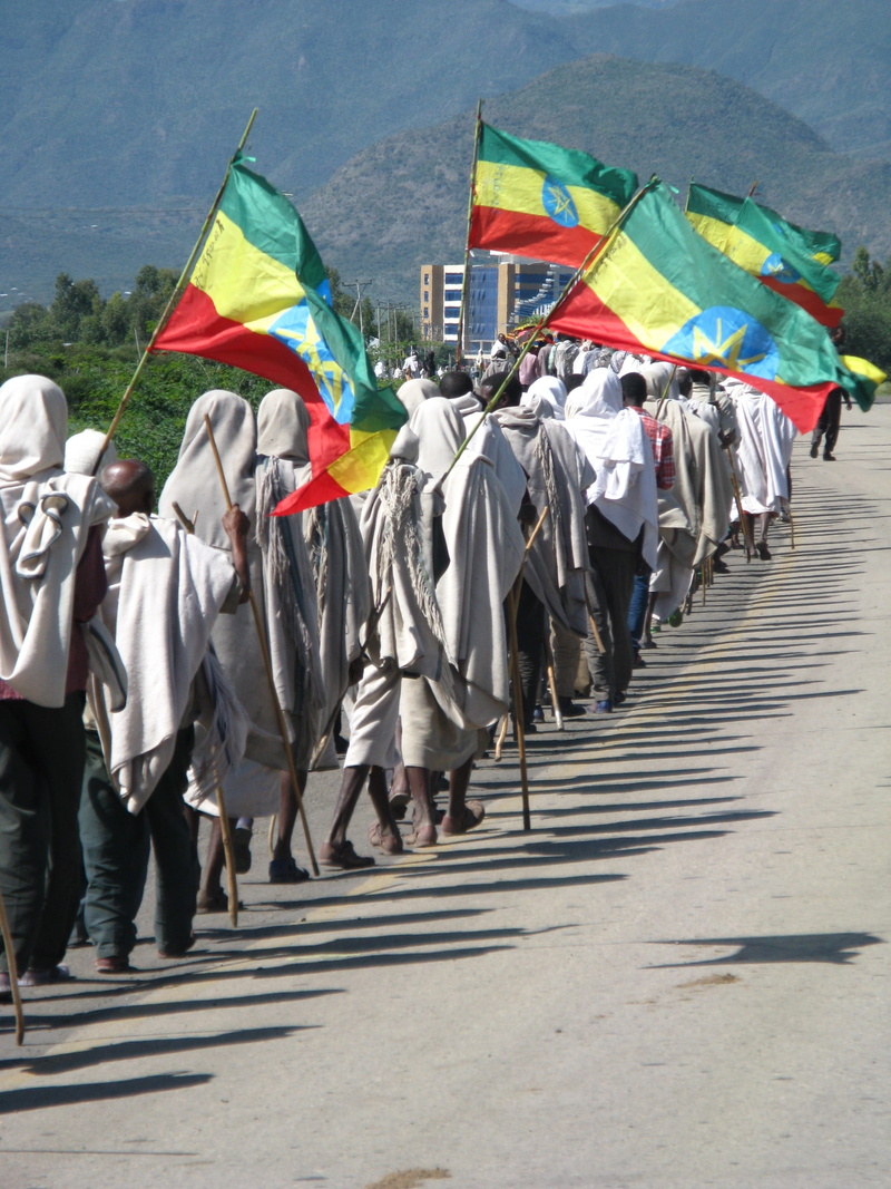 men, protest, africa, group of people, flag, large group of people, 2K, in a row, march, walking, variation, celebration, crowd, shadow, multi colored