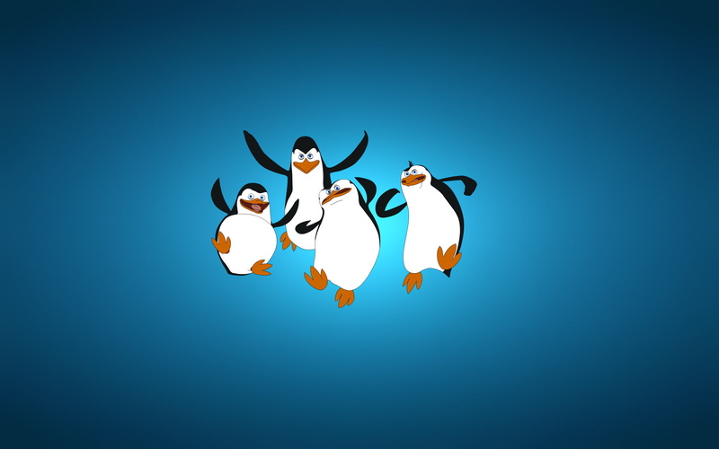 blue, The Penguins of Madagascar, animal themes, minimalism, mammal, colored background, copy space, madagascar, representation, digital, four