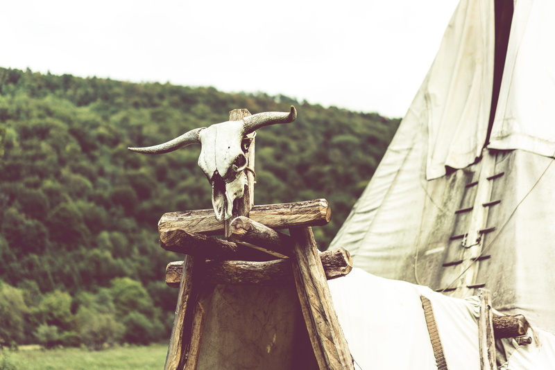 post, rope, wood - material, wilderness, art and craft, animal skull, day, indians, architecture, plant, tent, human representation, horned, 5K, tipi