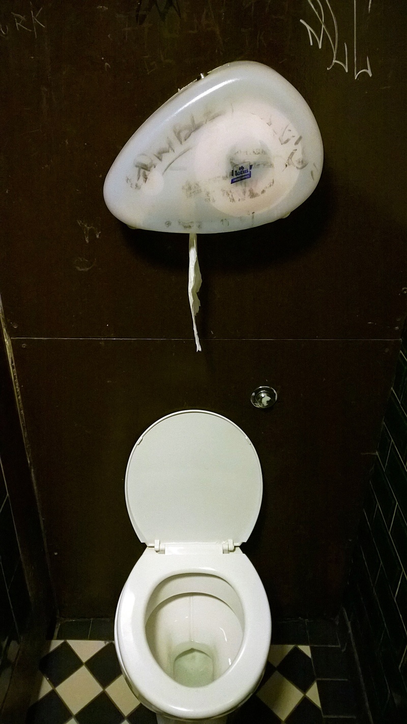 map, sanitary, health, white color, toilet, roll, indoors, 2K, high angle view, animal, water, vater, vespasiano, seat, disgust, toilet paper, no people