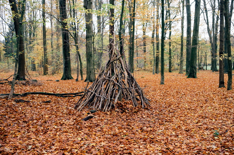 native, leaf, forest, nomad, outdoors, shelter, vegetation, woods, growth, land, day, trees, tree trunk, autumn, autumn collection, teepee, non-urban scene
