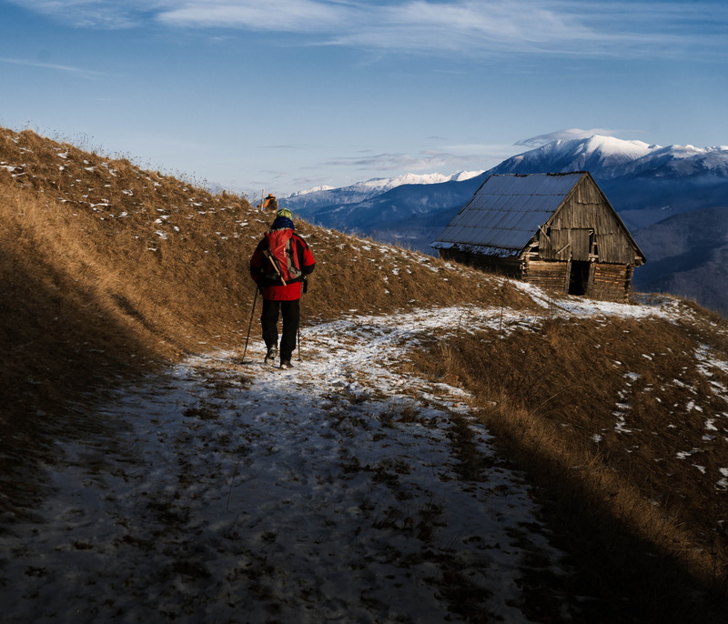 beauty in nature, day, road, mountain, sky, hiking, housing, field, rear view, nature, romania, walking, human, sibiu, daytime, leisure activity, dirt road