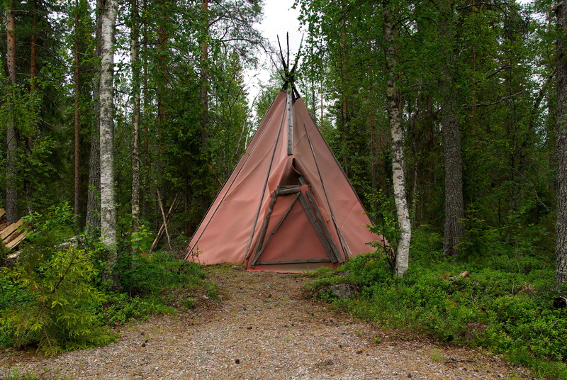 grey, tree, land, nature, pink, woodland, teepee, daytime, scenics - nature, plant, green color, trees, tranquil scene, outdoors, day, beauty in nature