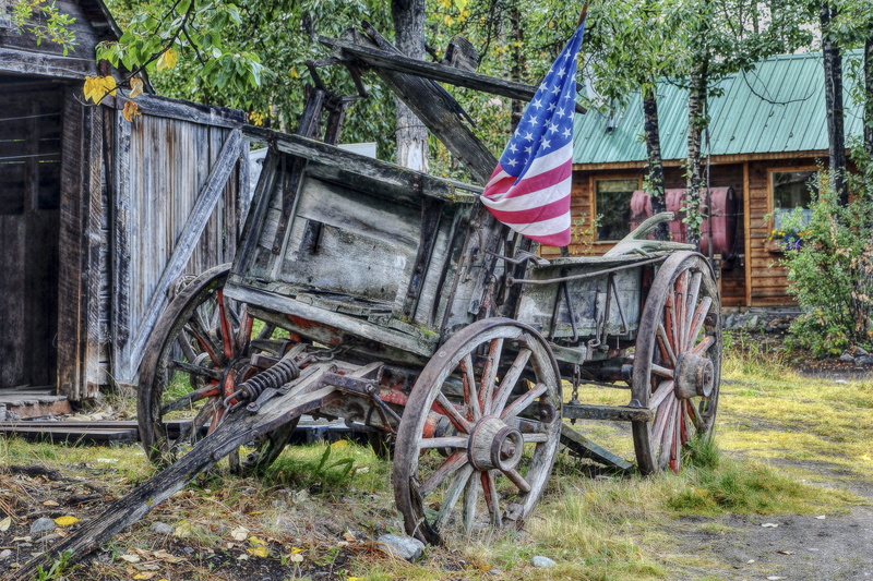 growth, hdr, transportation, wheel, american flag, plant, vintage, field, tree, cart, nature, usa, wagon, southern usa, land vehicle, wood - material, western style