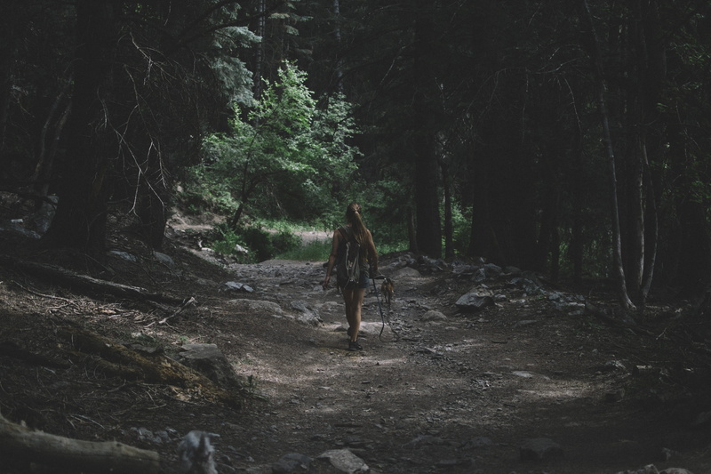 women, apparel, conifer, fir, nature, plant, rear view, full length, growth, standing, international women’s day, human, fearless, strong, walking, one person
