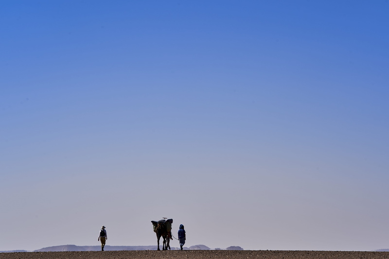beauty in nature, soil, field, savanna, two people, 5K, blue, outdoors, livestock, tough, strong, fearless, real people, domestic animals, two, four, sky