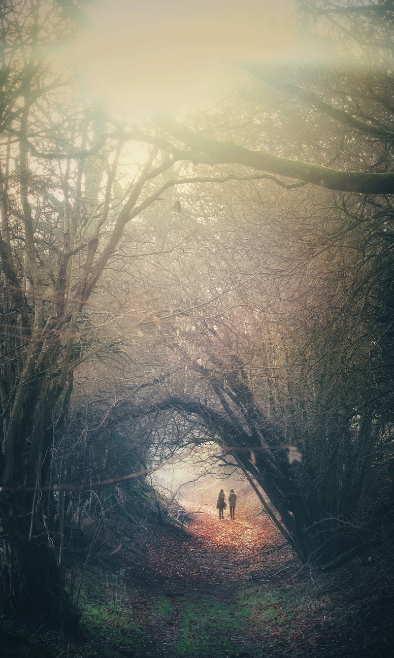human, tranquility, britain, person, whitchurch, spooky, woodland, art, no people, painting, path, outdoors, tree, flare, non-urban scene, mystery, fog