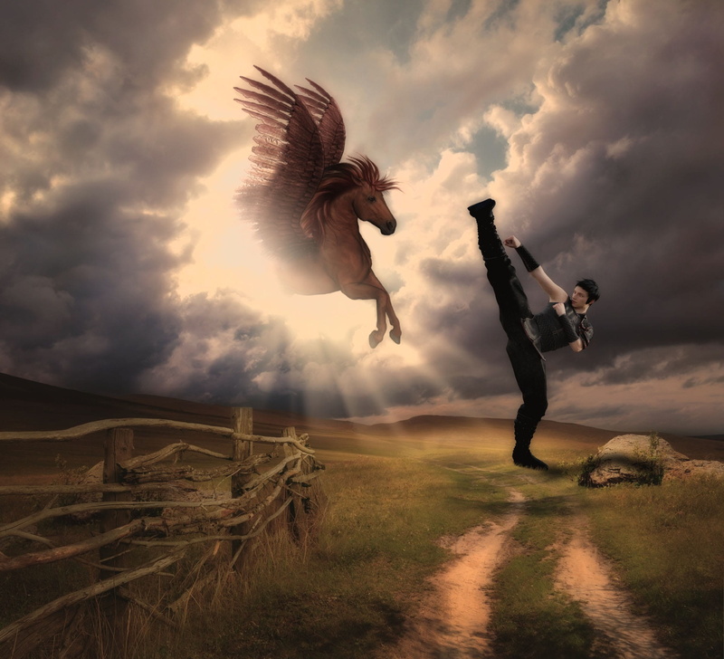 horse, sunlight, animal wildlife, cloud - sky, men, fantasy creature, beauty in nature, field, togetherness, clouds, nature, path, 1080P, lifestyles, people