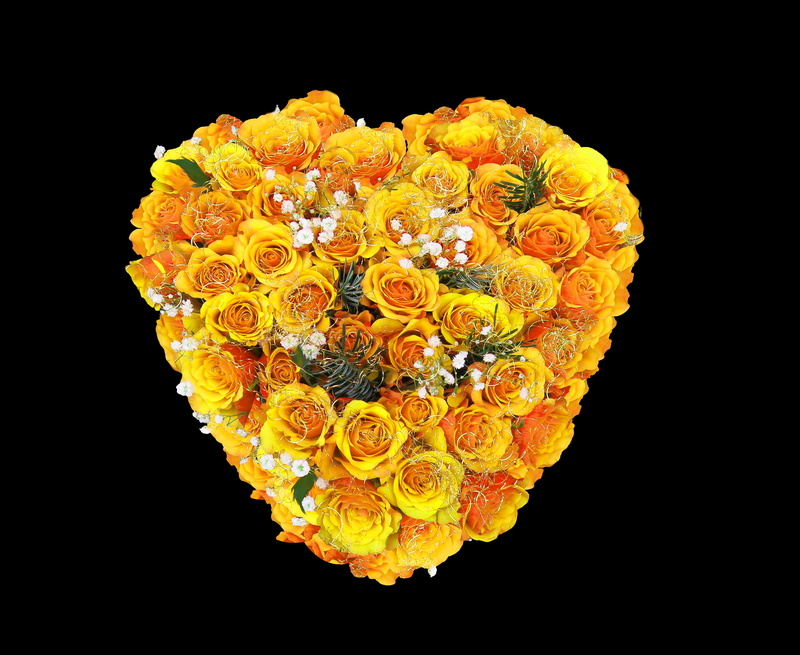 love, 2K, emotions, beauty in nature, thank you, birthday, flowering plant, flower head, i beg your pardon, no people, ornate, flower, yellow, mothers day