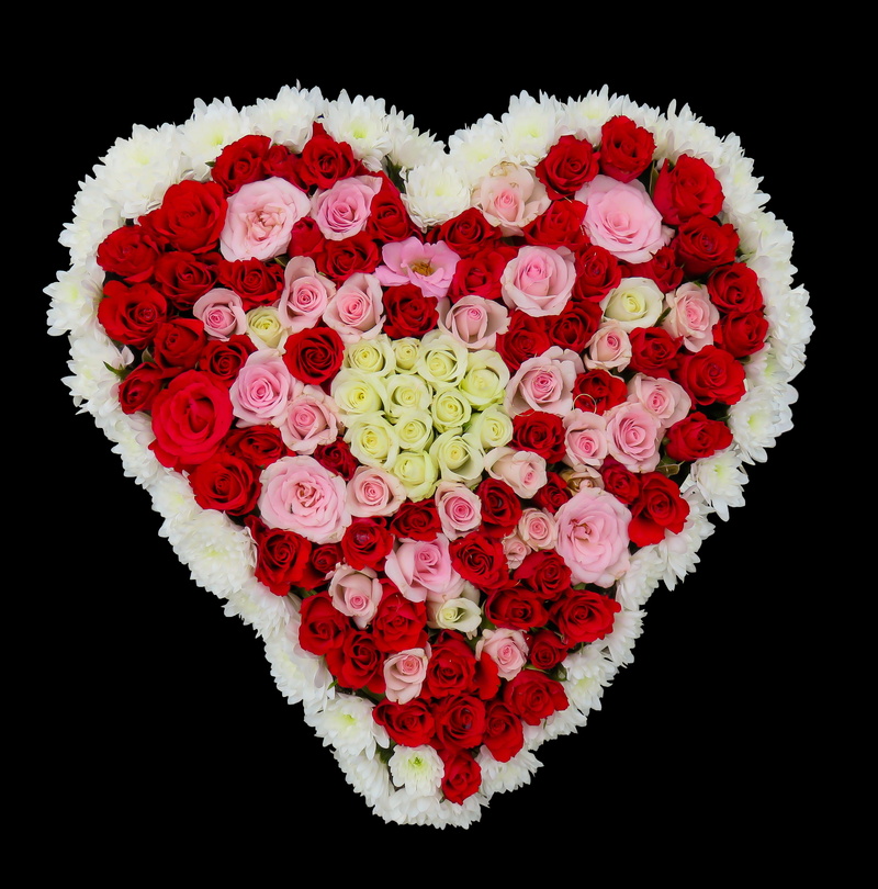 flower, positive emotion, plant, no people, petal, roses, studio shot, birthday bouquet, 4K, valentines day - holiday, indoors, art and craft, red, flower head
