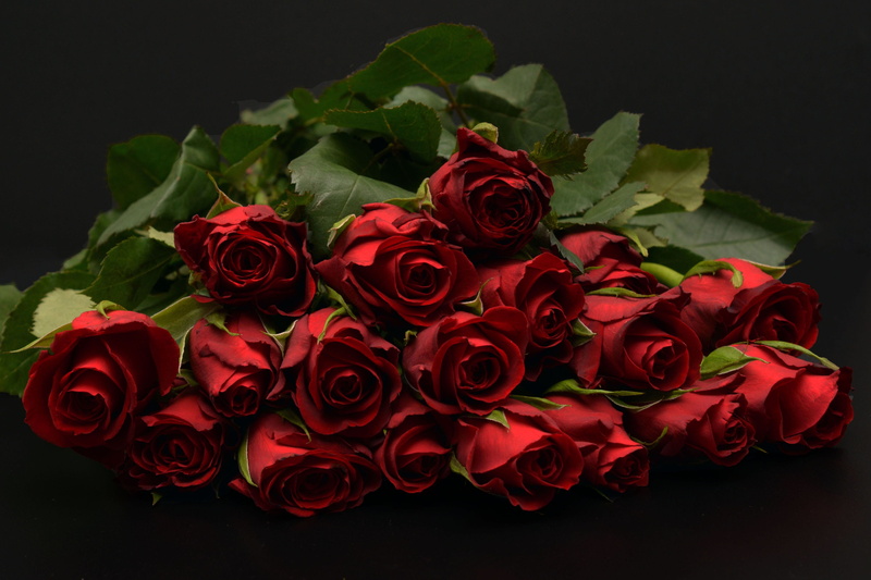 plant, flower arrangement, bouquet of roses, bunch of flowers, sorry, close-up, thank you, beauty, 4K, valentines day, petal, red, inflorescence, black background