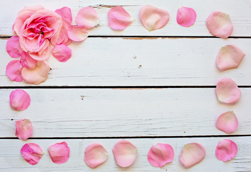 pink color, plant, petal, still life, wedding, flower head, text space, desktop, valentine, directly above, background, white, 4K, close-up, love, positive emotion