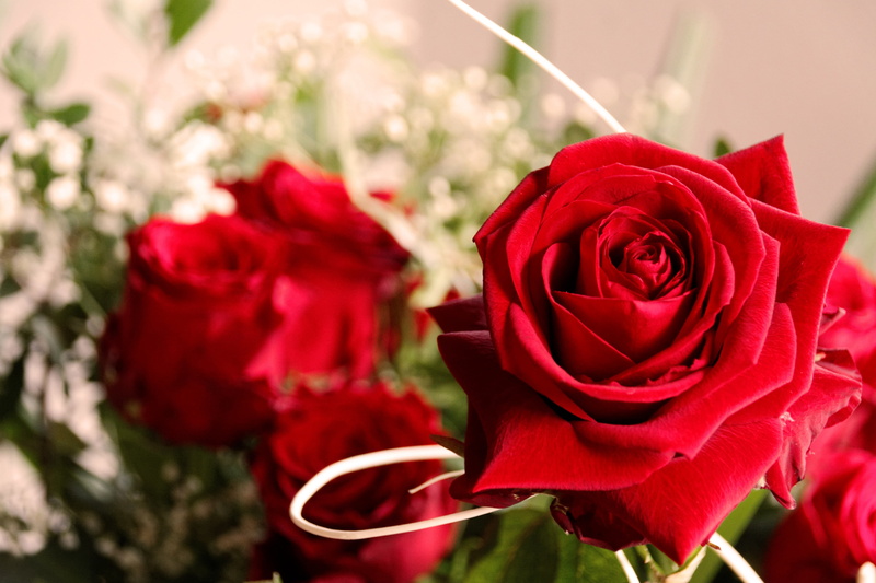 flower arrangement, rose - Flower, flower head, greeting card, flower, nature, plant, red, petal, wedding, floral greeting, vulnerability, bloom, birthday card