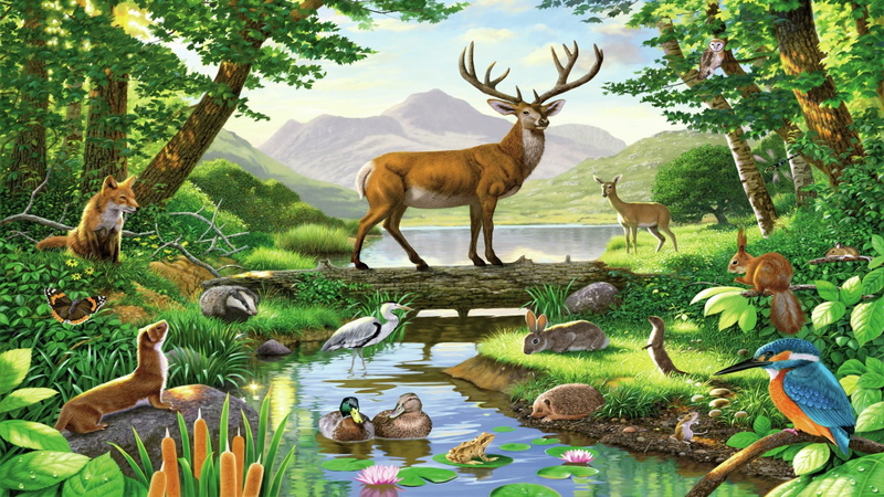 squirrel, Fox, Duck, Weasel, deer, 1920x1080, 1080P, Forest, hd, anime, ultra hd, digital art, pond