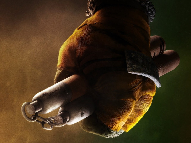 nunchaku, lifestyles, adult, one person, person, human body part, holding, Hollywood Movies, 720P, hollywood, turtles, indoors, nature, animal wildlife