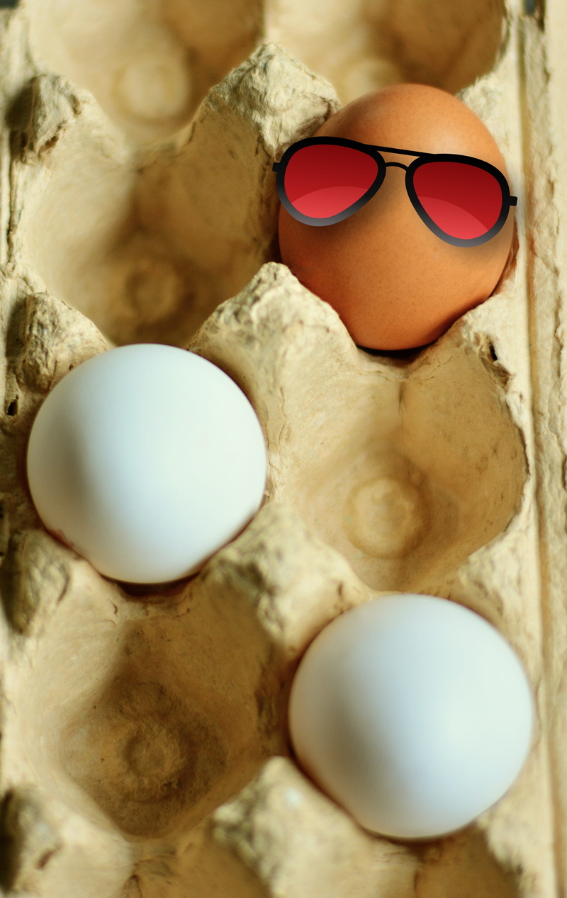 egg packaging, still life, brown eggs, raw food, art and craft, freshness, group of objects, food, coloring, directly above, eggshell, 4K, food and drink
