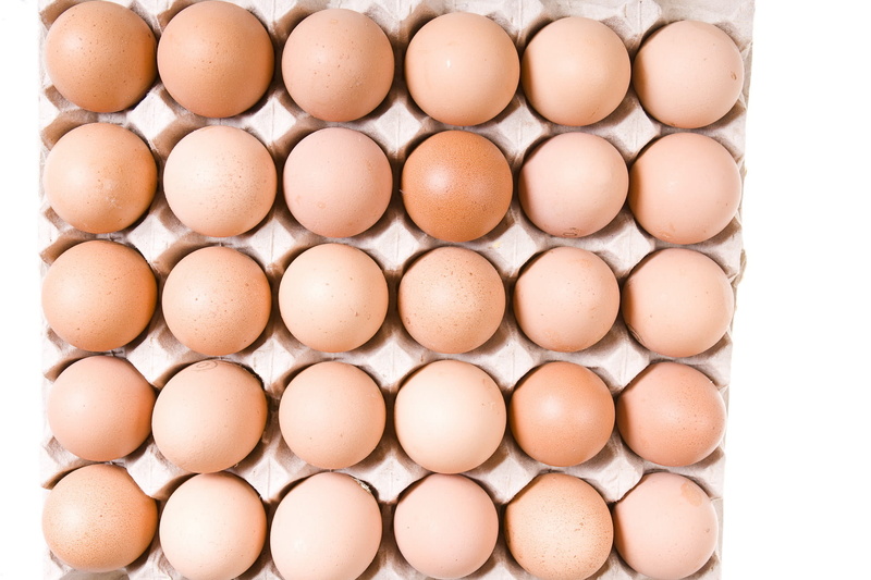 box, cardboard, raw, fragile, carton, open, fresh, eat, eggs, container, organic, easter, poultry, studio, uncooked, package, food and drink, large group of objects