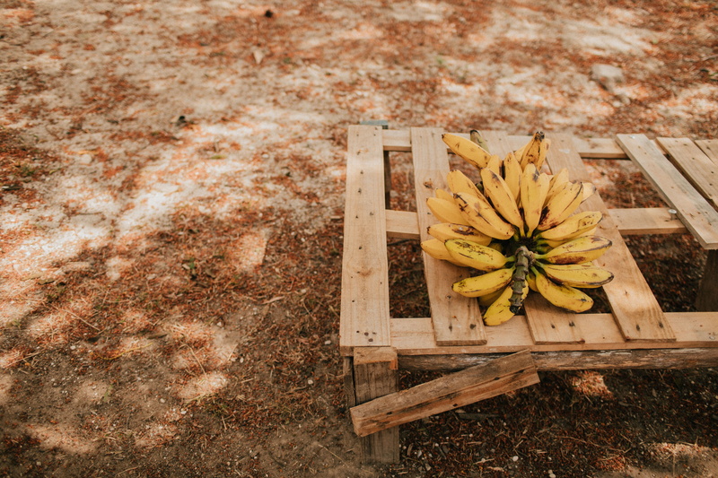 banana, land, beauty in nature, box, food, freshness, apple, vulnerability, flower, clothing, strawberry, raspberry, soil, wood, flower head, yellow, porch