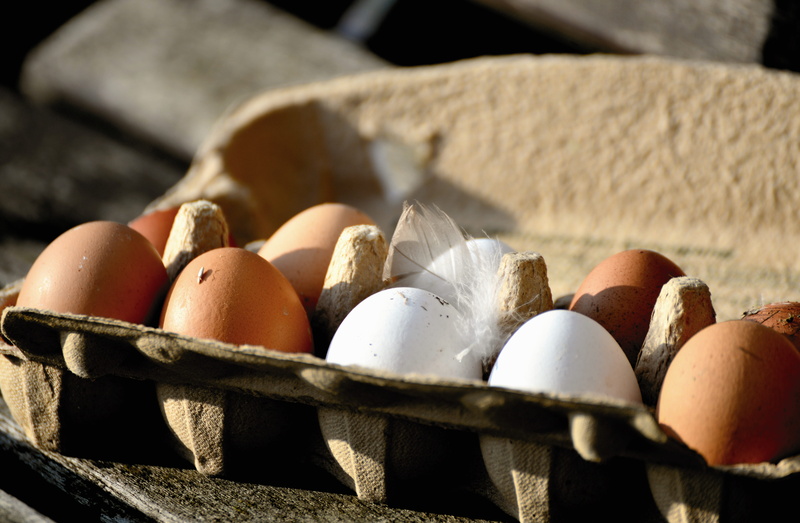 large group of objects, healthy, egg carton, abundance, food and drink, brown, egg box, freshness, nature, eggshell, organic eggs, group of objects, organic