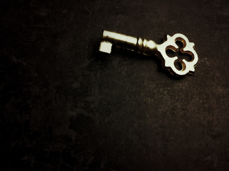 copy space, technology, textured effect, still life, no people, solution, skeleton, indoors, security, gold, safety, latchkey, textured, studio shot, metal