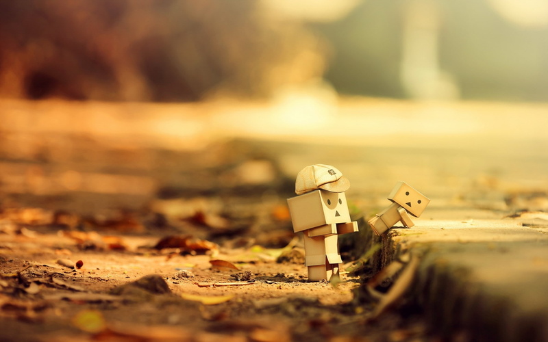 day, land, abandoned, focus on foreground, box, danbo, nature, outdoors, sunlight, selective focus, autumn, surface level, sea, sunset, beauty in nature