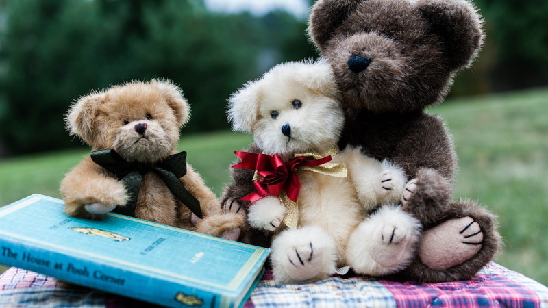 teddy bears, 1080P