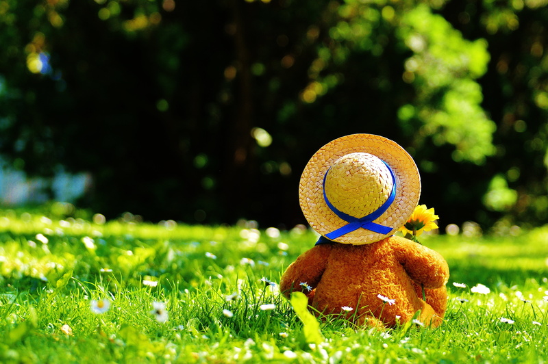 play, springtime, green Color, brown, toy, plant, front or back yard, sunlight, fun, plush, sweet, field, clothing, outdoors, children, bears, nature, soft toy